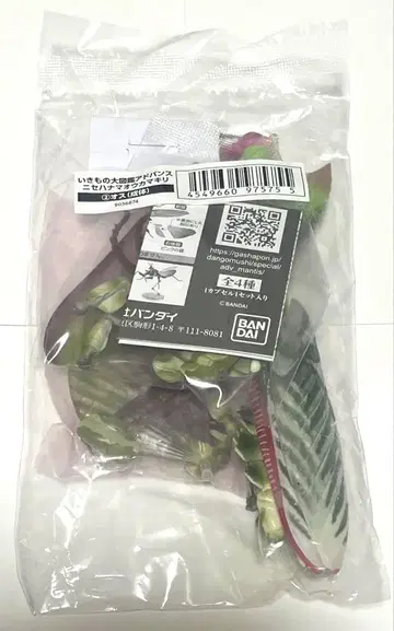 생물대도감 어드밴스 니세하나마오카마키리 수컷(성충) 온라인 버전