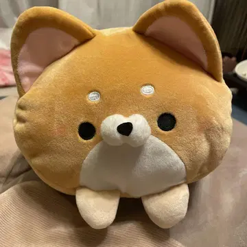 라이프 시바켄