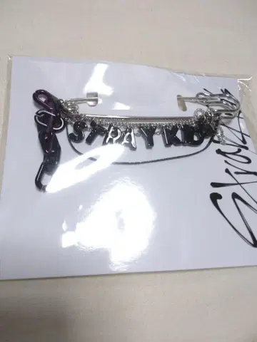 straykids 스키즈 빅 핑 일본 펜미 펜미 굿즈