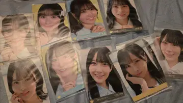 니아 조이 브로마이드 10장 세트 블루 하와이 레몬