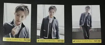 사쿠라이 레이카 컴프 브로마이드 샤키이즈무
