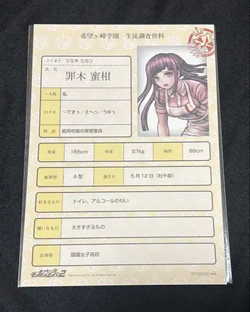 슈퍼 단간론파 2 죄목 미칸 희망가미 학원 학생 조사 자료풍 페이퍼