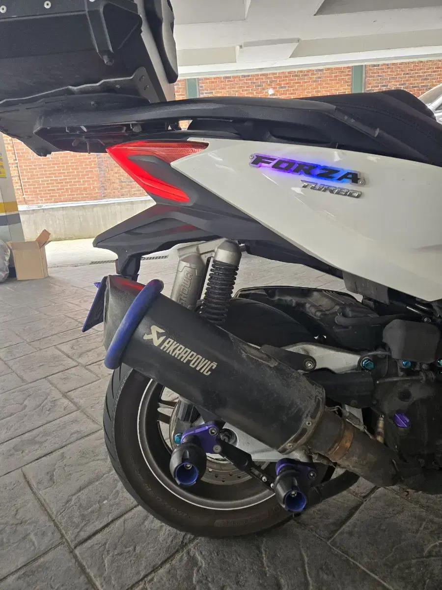 Forza Akra Muffler