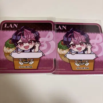 시쿠포니 바쿠다니 코스터 LAN