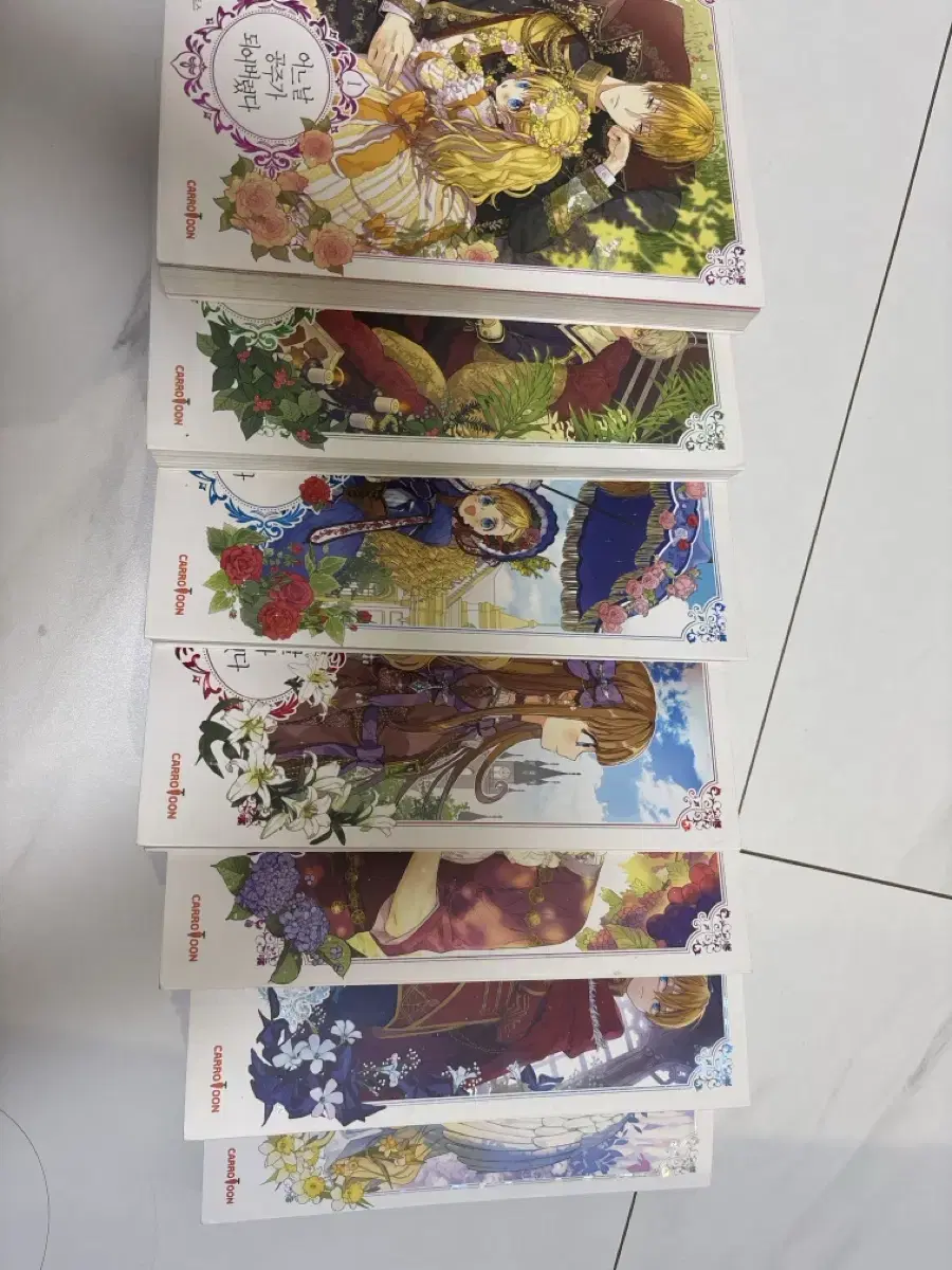 어느날 공주가 되어버렸다