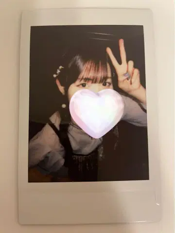 이세 스즈란 폴라로이드 란체키