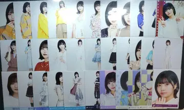 노기자카46 나카니시 아르노 브로마이드 묶음 판매 33장