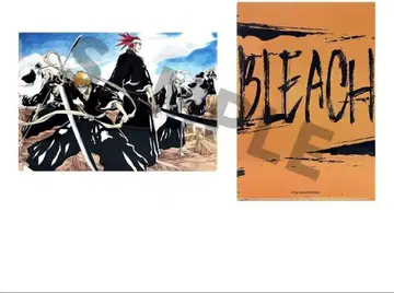 BLEACH 중국 한정판 쿠로사키 이치고 후목 루키아 클리어 파일 C