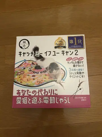 캐치 미 이프 유 캔 2