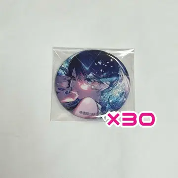 프로세카 호시노 이카 8b 캔뱃지