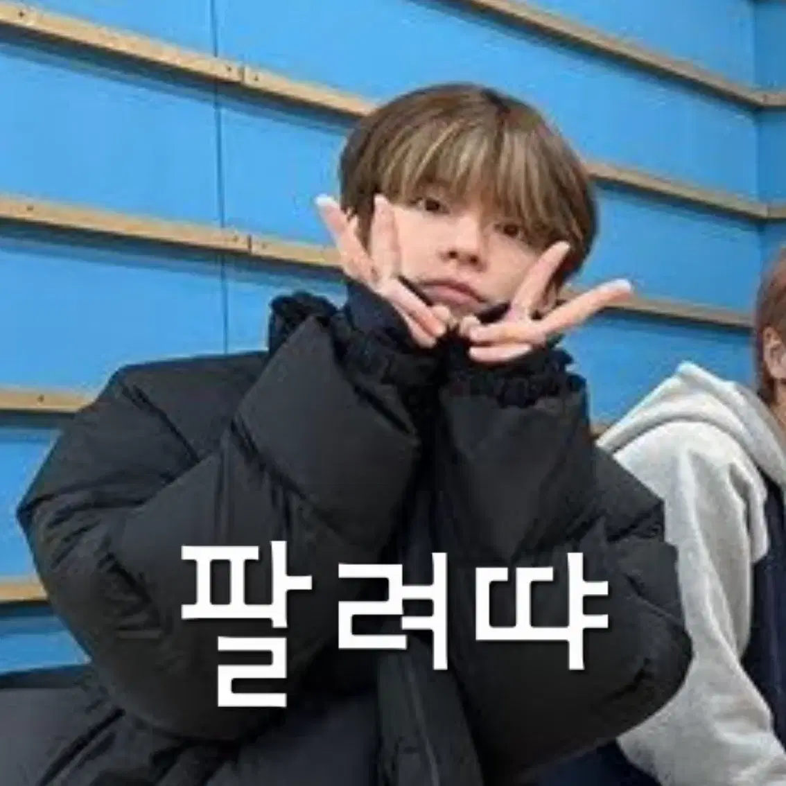 미개봉) 리빗 스트레스볼 스키주 스키즈 스트레이키즈