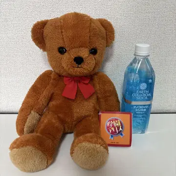 학교 앨리스 M 봉제 인형 Mr. 베어