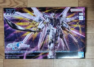 HG 1/144 마이티 스트라이크 프리덤 건담
