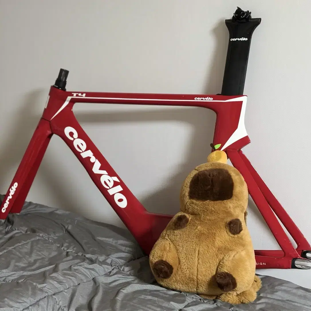 CERVELO | 써벨로 Cervelo T4 Frameset Sold, do not contact