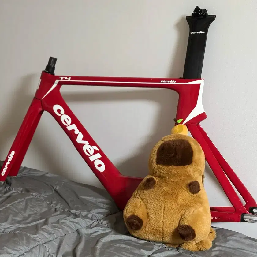 Cervelo T4 | Bunjang Global