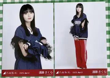 노기자카46 엔도 사쿠라 브로마이드 칼리지