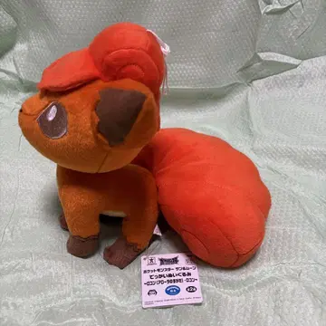 포켓몬 로콘 봉제 인형