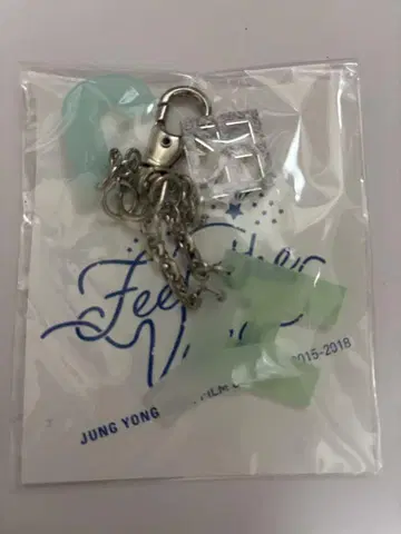CNBLUE 정연 키링