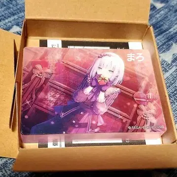 프로세카 노블 아트 연주