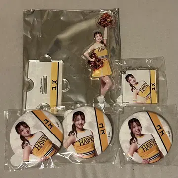 와카타카 가챠 허니즈 아크릴 스탠드 캔뱃지 아크링 키링 유자