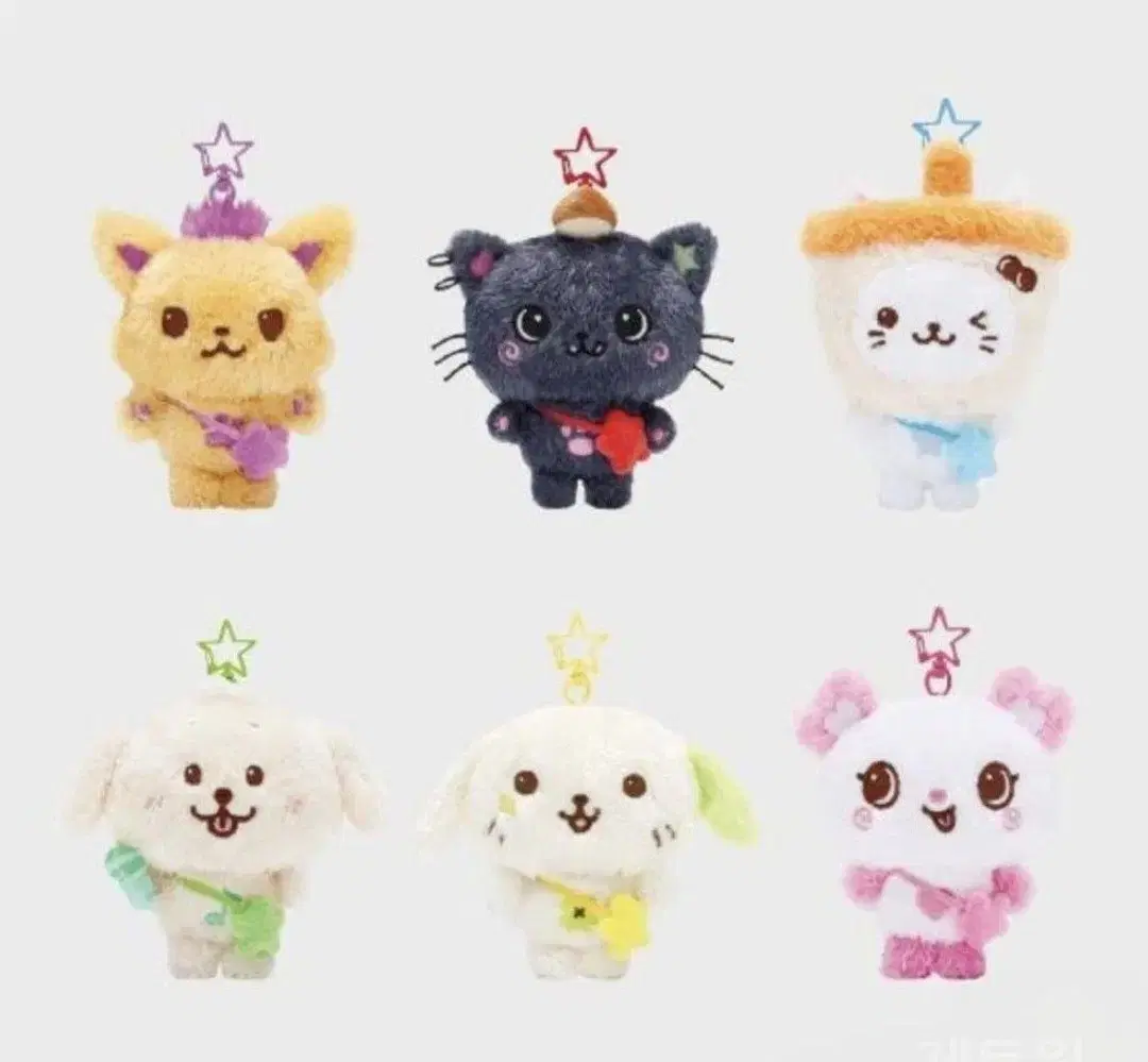 사쿠야 리쿠 위시돌