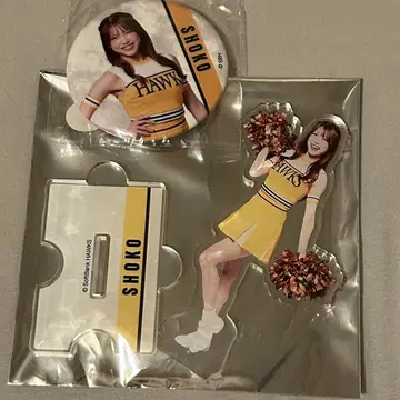 와카타카 가챠 허니즈 아크릴 스탠드 캔뱃지 SHOKO