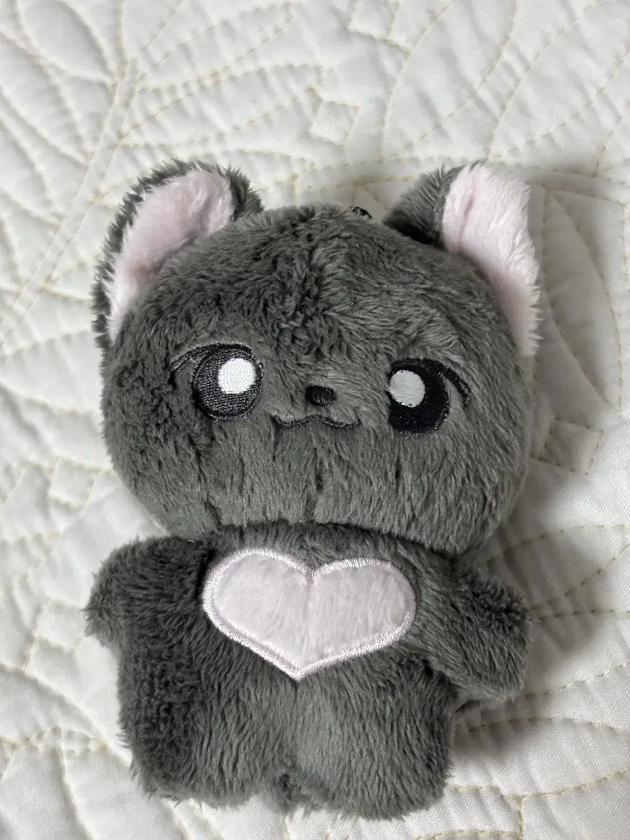 라이즈 원빈 10cm 인형 삐냥이 판매양도