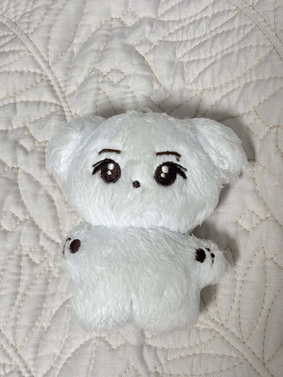 라이즈 정성찬 10cm 인형 숑뭉이 판매양도