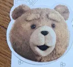 테드의 종이 TED 2013년