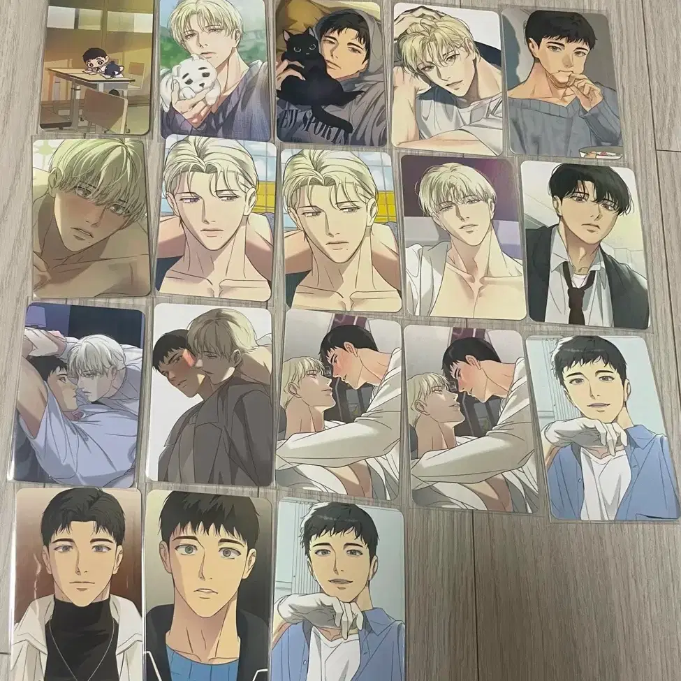 Bulk) Backlight Baekla Collection Poca