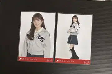 노기자카46 오가와 아야 2025.4 칼리지