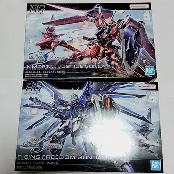 HG 1/144 라이징 프리 건담 & 임모탈 저스티스 건담