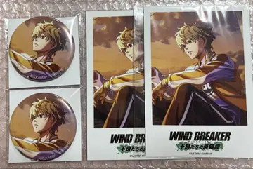 WIND BREAKER 윈브레 윈히로 AJ 토끼귀 산정 캔뱃지