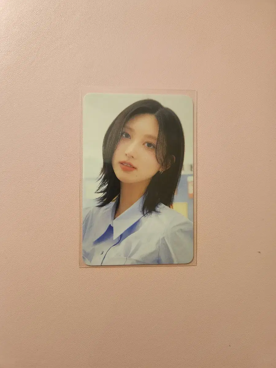 아이브 콘서트 가을 포카 랜덤팩