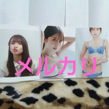 스가하라 사츠키 씨 브로마이드 새상품