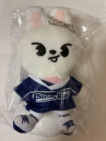 스키즈 백 참 leebit