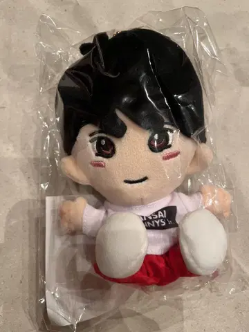 마사에 세이야 치비누이
