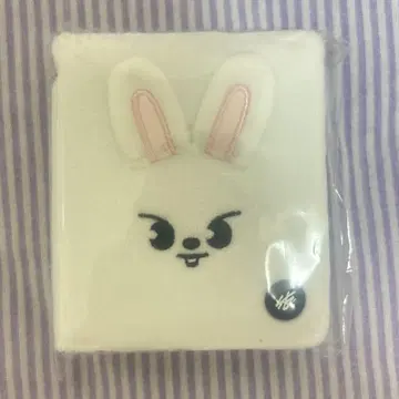 스키즈 straykids 포토 카드 케이스