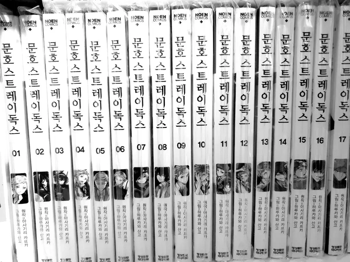 Bungo Stray Dogs Manga Volumes 1-17