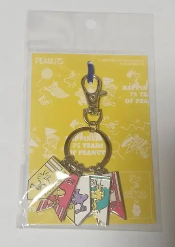 WOODSTOCK SMALL SHOP 5연 키체인