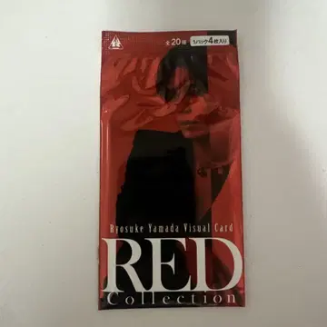 야마다 료스케 Visual Card RED Collection 4장 세트