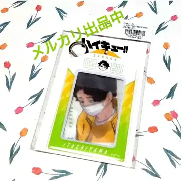 하이큐!! 생일 카드 홀더 (특제 카드 2장 포함) 사쿠하 세이오