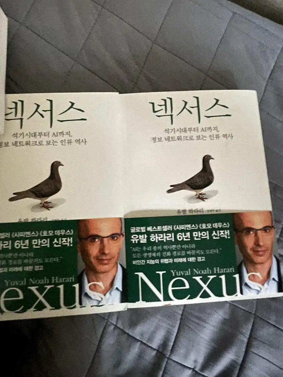 넥서스 도서 판매 (두권)