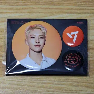 SEVENTEEN BE THE SUN 캔뱃지 호시
