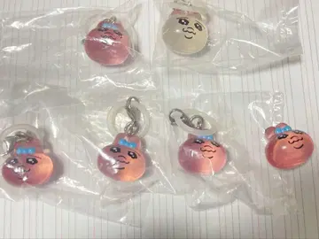 빤쮸토끼 메지루시 액세서리