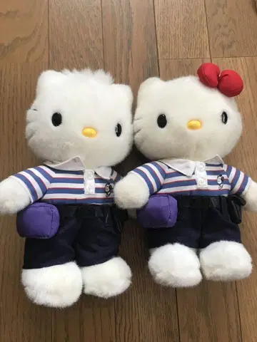키티&다니엘 사가와 익스프레스