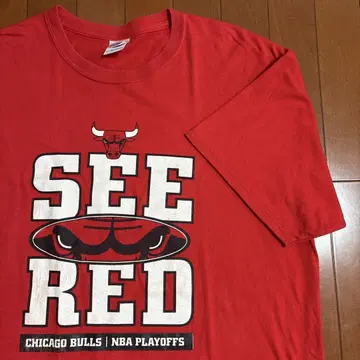 90s 00s 빈티지 티셔츠 시카고 불스 XL 프로그 NBA