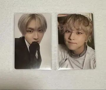 ENHYPEN weverse 앨범 정원 세트