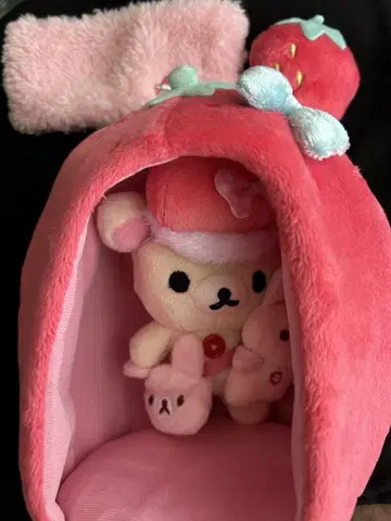 코리락쿠마 딸기 생활 딸기 생활