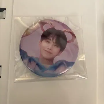 SEVENTEEN 세부치 정한 캔뱃지 DREAM 팝업